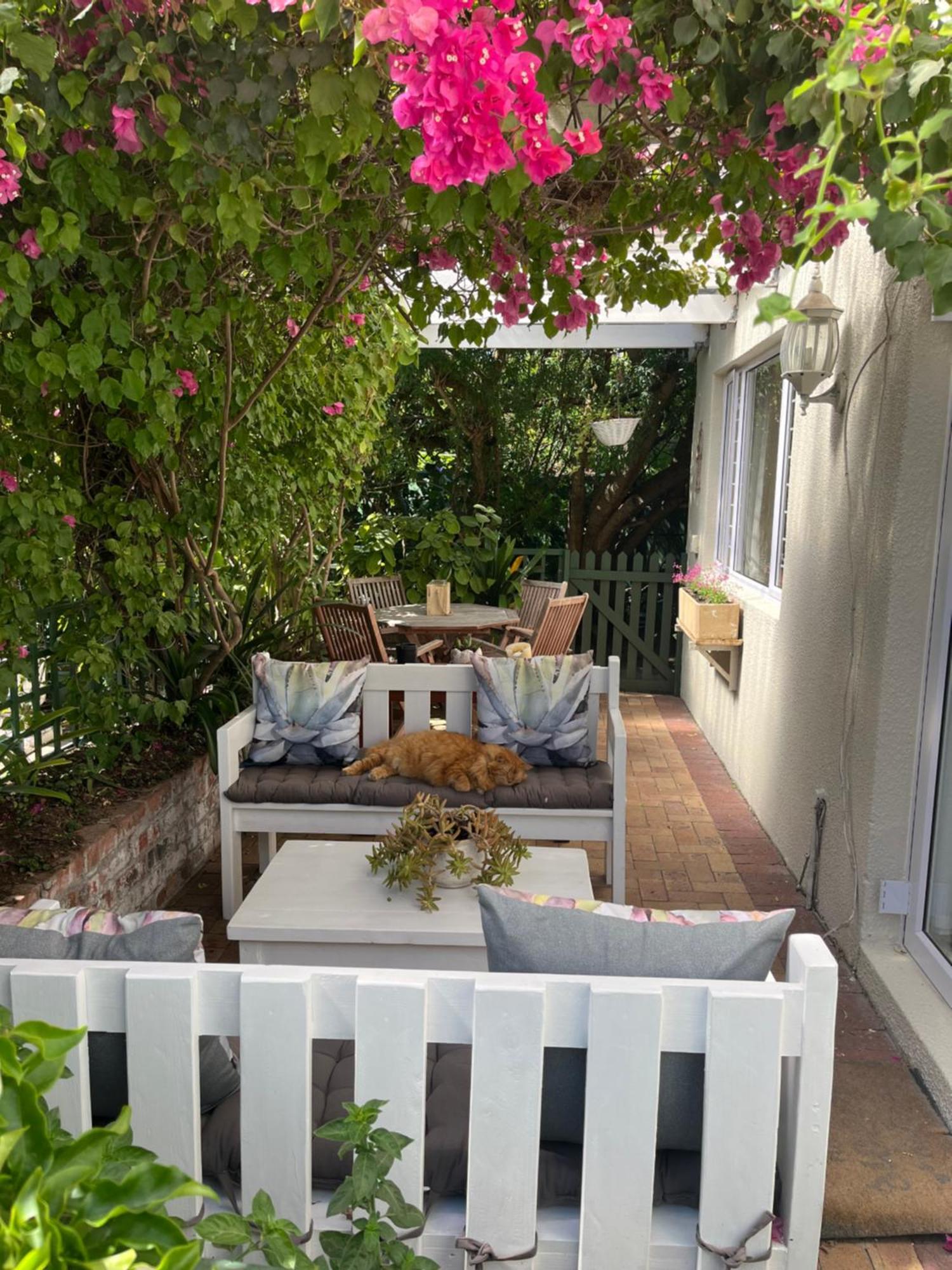 On Broadwalk Cottage Le Cap Extérieur photo